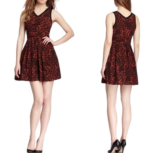 BB Dakota Almeta Wild Things Leopard Print Dress Sz 6 - Picture 1 of 8